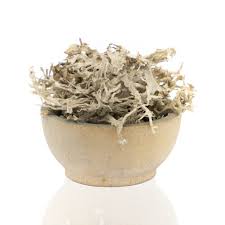 Attēlu rezultāti vaicājumam “Evernia prunastri”