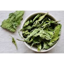 Attēlu rezultāti vaicājumam “Echinacea purpurea leaf”