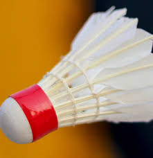 Image result for Limpsfield Badminton Club