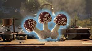 Attēlu rezultāti vaicājumam “Amanita regalis”