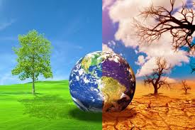 Image result for global