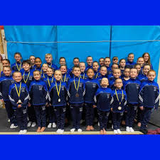 Image result for Monarchs Sports Acrobatics Club