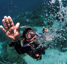 Image result for Southdown Divers