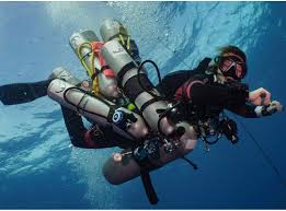 Image result for Duchy Divers