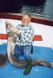 Image result for British Conger Club