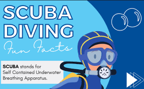 Image result for Scuba Fun