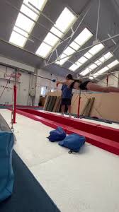Image result for Brumby Gymnastics Club