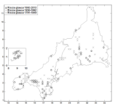 Attēlu rezultāti vaicājumam “Riccia glauca”