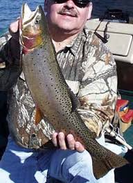 Image result for Oncorhynchus