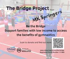 Image result for Mk Springers Gymnastics Club