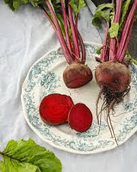 Image result for Beta vulgaris