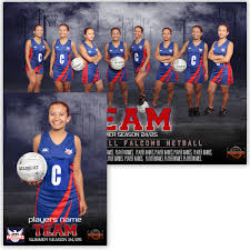 Image result for Falcons Netball Club