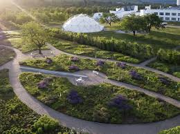 Image result for Piet Oudolf