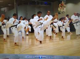 Image result for Northern Freestyle Karate Association