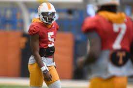 Image result for Hendon CC