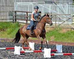 Image result for Jp-Sheffield Eventing