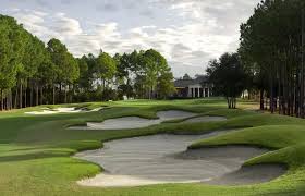 Image result for St James casuals cricket club