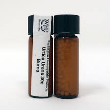 Attēlu rezultāti vaicājumam “Urtica urens”