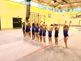 Image result for Sponte Sua Gym