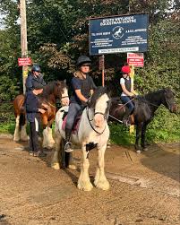 Image result for South Weylands Equestrian