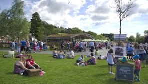 Image result for Swallows Of Helston Gymnastics Club