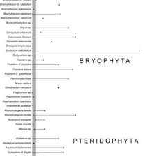 Attēlu rezultāti vaicājumam “Brachythecium salebrosum sporophyte”