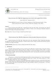 Attēlu rezultāti vaicājumam “Seligeria donniana”