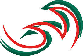 Image result for Newdigate Netball Club