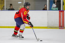 Image result for Streatham Youth Ice Hockey Club