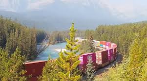 Résultat de recherche d'images pour "morant's curve"