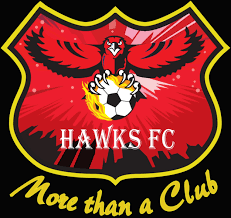 Image result for Hedingham Hawks Youth Football Club