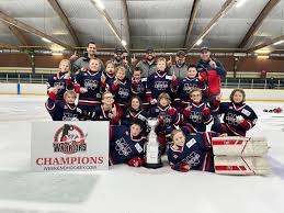Image result for Perth Junior Ice Hockey Club