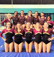 Image result for Epping Forest Elite Gymnastics Club