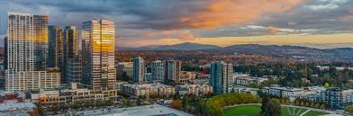Image result for Bellevue