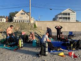 Image result for Southdown Divers