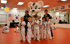 Image result for Kidderminster Tae Kwon Do Tigers