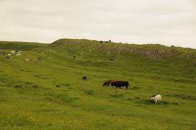 Image result for Nunwick Cc