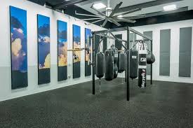 Image result for York University Boxing Club