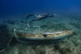Image result for Notanx Freedive Club