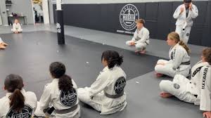 Image result for Mushin Kempo Jiu Jitsu Club