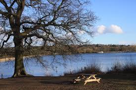 Image result for Aldenham Sailing Club