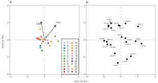 Attēlu rezultāti vaicājumam “Diderma ochraceum macro”