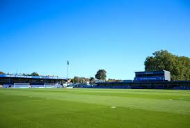 Image result for Staines Albion Fc