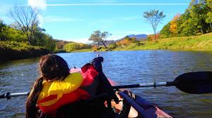 Image result for Sutton Bingham and District Canoe Club