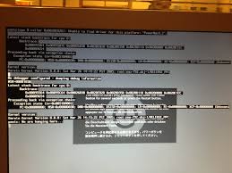 Image result for kernel panic snow leopard
