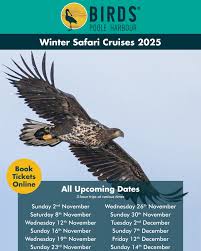 Image result for Poole Kite Fliers