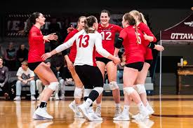 Image result for York University Volleyball Club