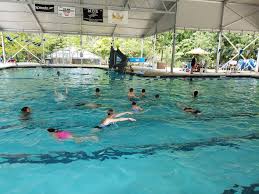 Image result for Sharks Swimming Club Of Mottingham
