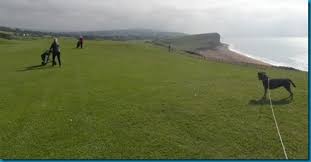 Image result for Bridport & West Dorset Golf Club Ltd