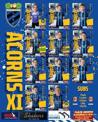 Image result for Ockley Acorns Junior F C